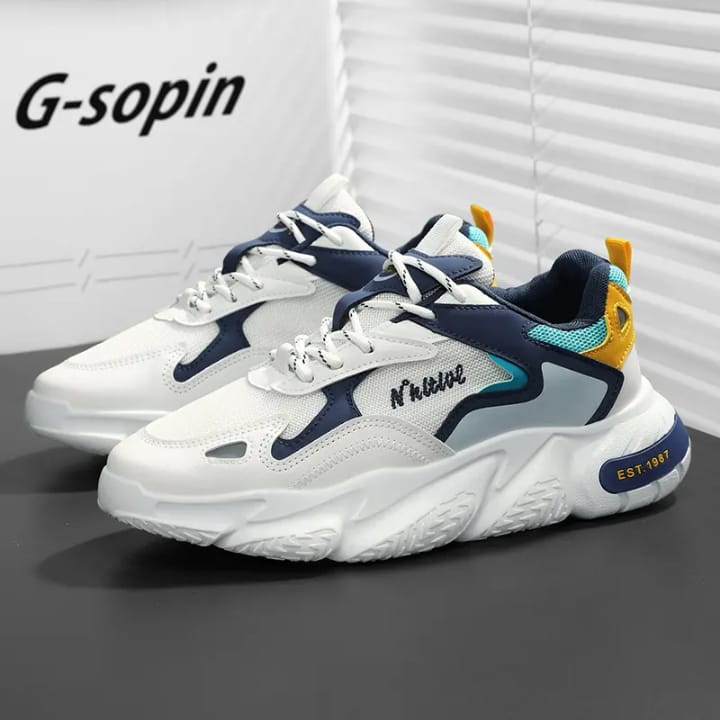 Comfortable shoe